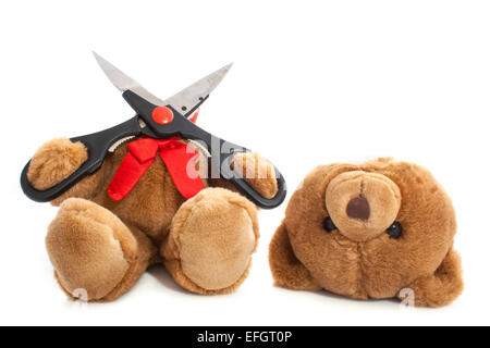 Bear whit his head cut off isolated over white Stock Photo