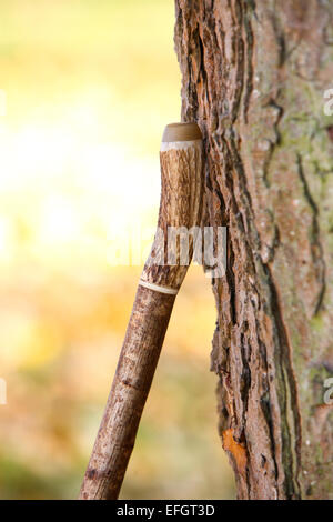 Traditional handcrafted hiking stick with deer antler handle Stock ...