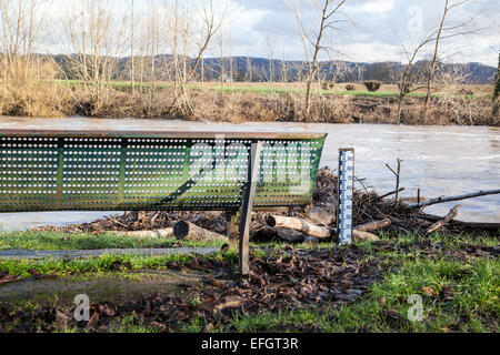 Bench, flood marker and driftwood on the shores of a flooded river Stock Photo