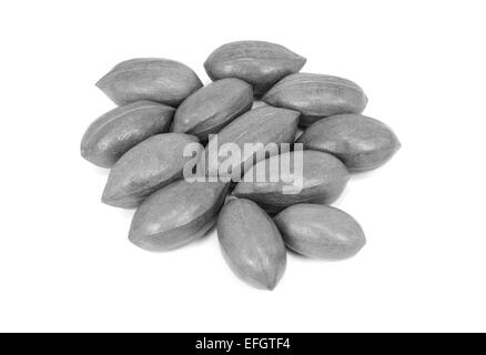 Pecan nuts in shells, isolated on a white background - monochrome processing Stock Photo