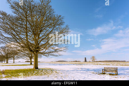 Beverley Westwood following a snow storm with the Black Monument in the background in Beverley, Yorkshire, UK. Stock Photo