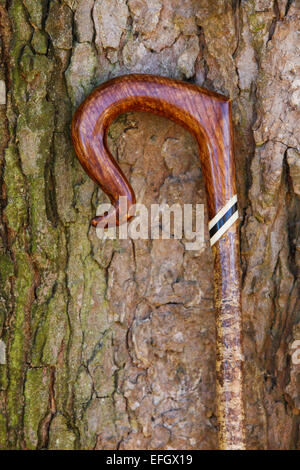 Traditional handcrafted hazel wooden walking stick with nose out crook handle Stock Photo