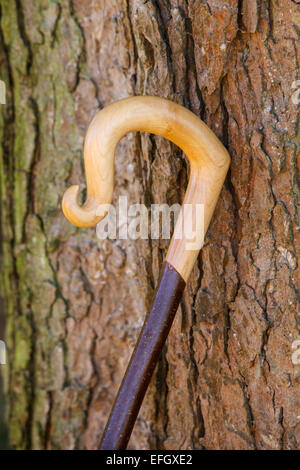 Traditional handcrafted wooden walking stick with nose out crook handle Stock Photo