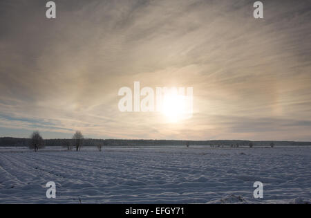 Wintertime sunset over meadows and forest with sun behind cloud Stock Photo