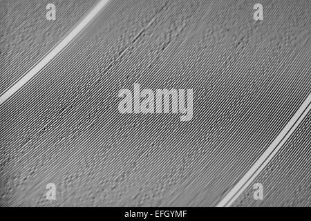 A close up of a vinyl record Stock Photo
