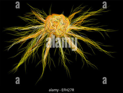 Cancer cell and T cell, illustration Stock Photo - Alamy