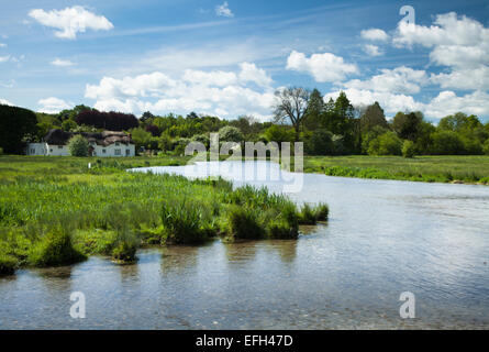 The River Test meandering through the watermeadows of Chilbolton Cow Common in springtime, Chilbolton in the Test Valley, Hampshire, England Stock Photo