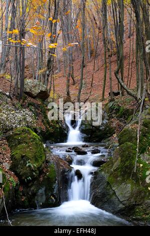 Waterfall in a forest Stock Photo