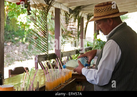 Horizontal view of a Cuban bartender making rum cocktails. Stock Photo