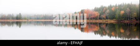 Trees reflecting in the water on Little Long Pond, Acadia National Park, Maine, USA Stock Photo