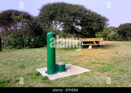 Watering station at the small dog park in Bicentennial Park, Ormond-by-the-Sea, Florida Stock Photo