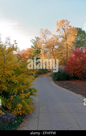 winding tree-lined path at olbrich botanical gardens during autumn in Madison Wisconsin