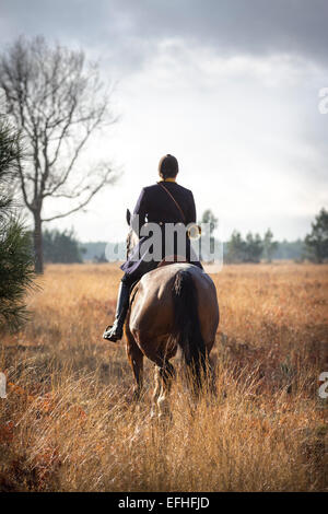 A Lady horse rider taking part in a deer hunting with hounds in the Landes (France). Cavalière participant à une chasse à courre Stock Photo