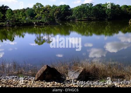 Lake at Morikami Japanese Gardens, Delray Beach, Palm Beach County, Florida Stock Photo