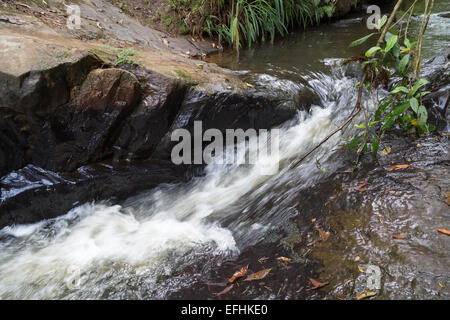 Stream flowing over boulders, leading through forest near tourist spot 'Ducha de Prata' (Silver Fall), Campos do Jordao, state of Sao Paulo, Brazil Stock Photo