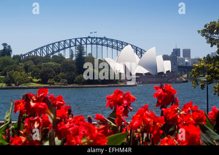 Sydney Opera House and Harbour Bridge from across Farm Cove in Royal Botanic Garden with red flowers in foreground Sydney New So Stock Photo