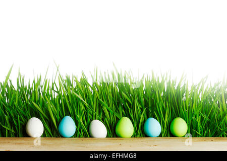 Row of Easter Eggs in fresh green grass isolated on white background Stock Photo