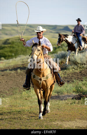 Horse rider, cowboy, La Reata Ranch, Canadian Prairies, Saskatchewan, Canada. Stock Photo