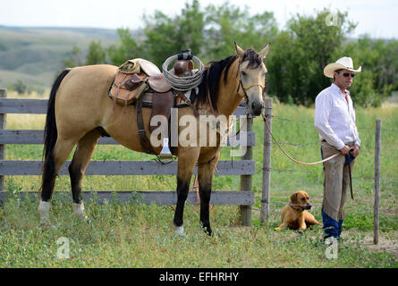 George Gaber, owner of La Reata Ranch, Canadian Prairies, Saskatchewan, Canada Stock Photo