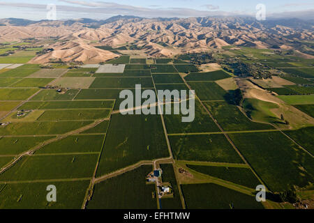 Aerial view of vineyards in Wairau valley, Marlborough wine-growing area, Blenheim, Marlborough, South Island, New Zealand Stock Photo