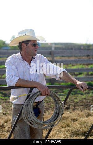 Cowboy with lasso, George Gaber, owner of La Reata Ranch, Saskatchewan, Canada Stock Photo