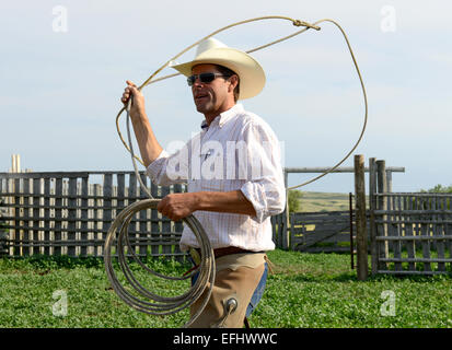 Cowboy with lasso, George Gaber, owner of La Reata Ranch, Saskatchewan, Canada Stock Photo