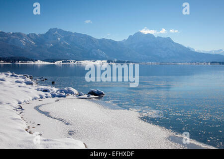 Lake Forggensee with view to the Allgaeu Alps with Tegelberg and Saeuling, Allgaeu, Bavaria, Germany Stock Photo