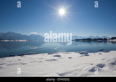 Lake Forggensee with view to the Allgaeu Alps with Tegelberg, Saeuling and Tannheimer Berge, Allgaeu, Bavaria, Germany Stock Photo