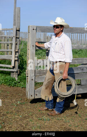 Cowboy with lasso, George Gaber, owner of La Reata Ranch, Saskatchewan, Canada Stock Photo