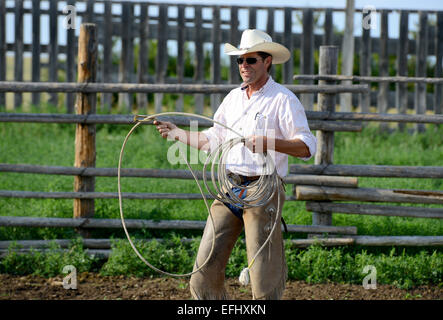 Cowboy with lasso, George Gaber, owner of La Reata Ranch, Saskatchewan, Canada Stock Photo