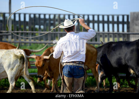 Cowboy with lasso, George Gaber, owner of La Reata Ranch, Saskatchewan, Canada Stock Photo