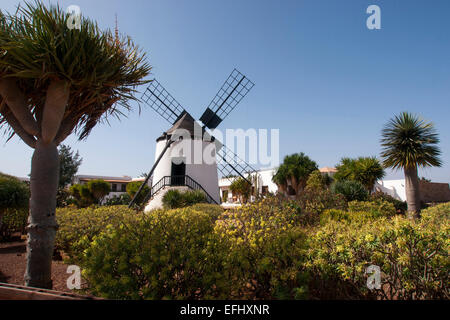 Windmill centre with museum, Tiscamanita, Tuineje, Tefia, Antigua, Fuerteventura, Canary Islands, Spain, Europe Stock Photo