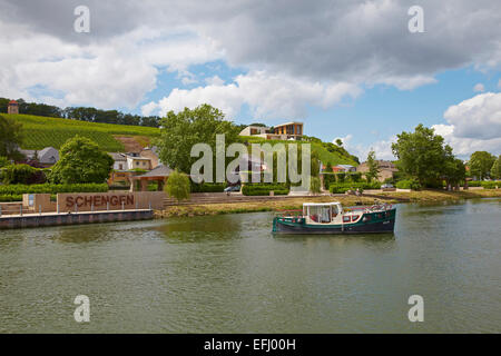 Wine growing estate, Domaine Henri Ruppert, Schengen, Houseboat, River Mosel, Luxembourg, Europe Stock Photo