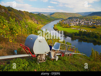 View from Prinzenkopf above Alf to Puenderich and Marienburg and the river Mosel, Rhineland-Palatinate, Germany, Europe Stock Photo