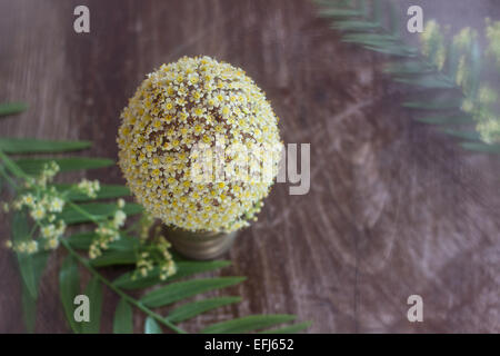 flowers blooming wood wooden green yellow background Stock Photo
