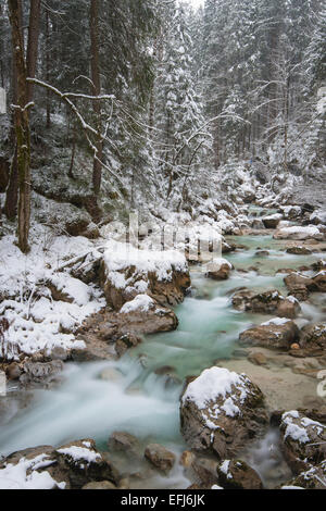 Winter in the Ramsauer Ache in the Zauberwald forest, National Park Berchtesgaden, Ramsau near, Berchtesgaden District Stock Photo