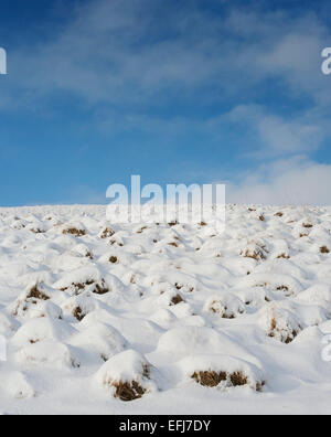 Snow covered grass tufts and blue sky abstract. Scottish borders, Scotland Stock Photo