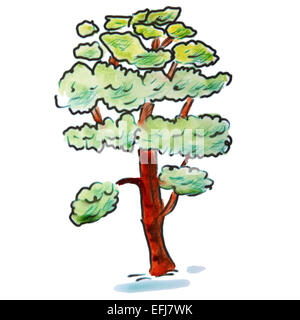 watercolor cedar tree light green cartoon figure, isolated white background Stock Photo