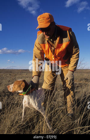 A hunter with his English Pointer dog while quail hunting near Guthrie Texas Stock Photo