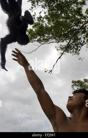 Spider monkey at Villagers of the Native Indian Embera Tribe, Embera Village, Panama. Panama Embera people Indian Village Indige Stock Photo