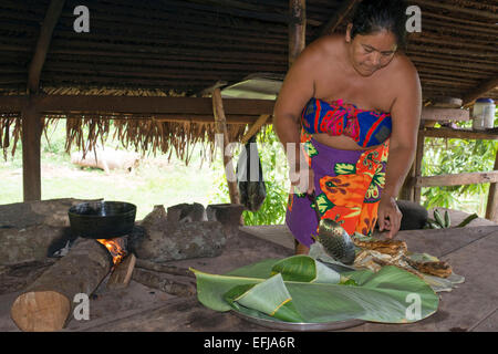 Portrait of native woman embera cooking fish in the village of the Native Indian Embera Tribe, Embera Village, Panama. Panama Em Stock Photo