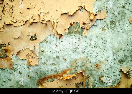 Full frame close up of yellow and green peeling and cracked paint Stock Photo