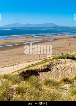 Sand dunes on the beach at Harlech in Gwynedd Snowdonia North Wales UK with mountains visible in the distance under a blue sky Stock Photo