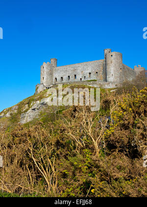 Harlech Castle in Gwynedd Snowdonia North Wales UK a medieval fortification built by Edward 1 in 1289 now a World Heritage Site Stock Photo