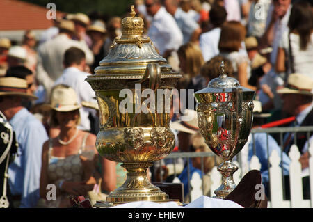 Trophies, Cartier International polo day Stock Photo