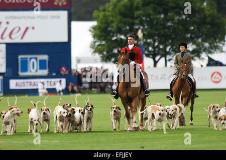Hounds and horsemen at Cartier International polo day Stock Photo