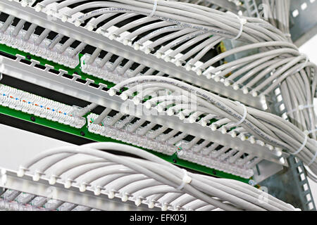 kind of wiring closet patch panels with 6-th category in the background Stock Photo