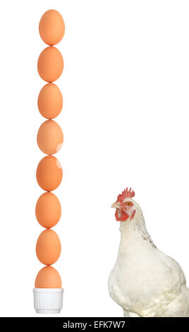 A humorus look at a balanced breakfast/diet. A white chicken next to a stack of 8 brown eggs, the lowest egg is sitting in a white  egg cup Stock Photo
