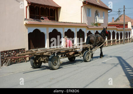 Local man traveling by horse cart, Romania, Eastern Europe Stock Photo