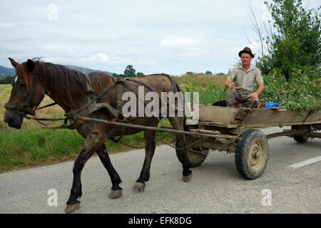 Man traveling by horse cart, Romania, Eastern Europe Stock Photo